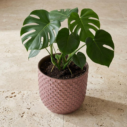 Mini-Topf "dawn" D7 x H6