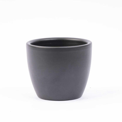 Bundle "Mini" - 15 cm + Töpfe