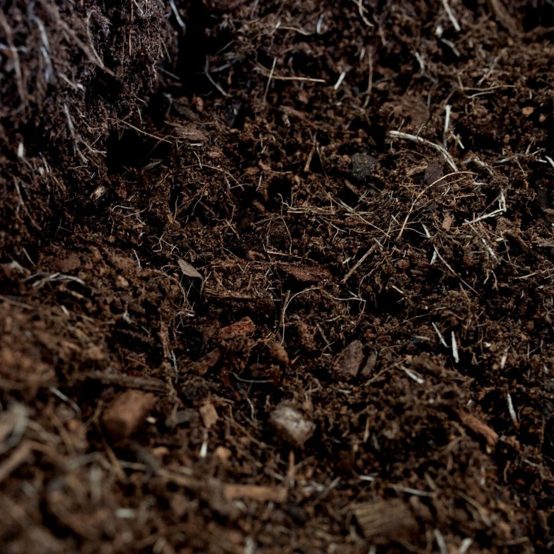 Culvita - Organische torffreie Blumenerde 40 Liter - Blumenerde für Pflanzen im Innen- und Außenbereich - inklusive organischem Dünger