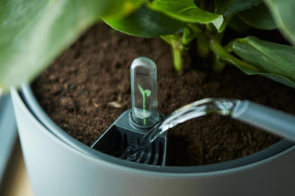 Bewässerungseinsatz - 21 cm