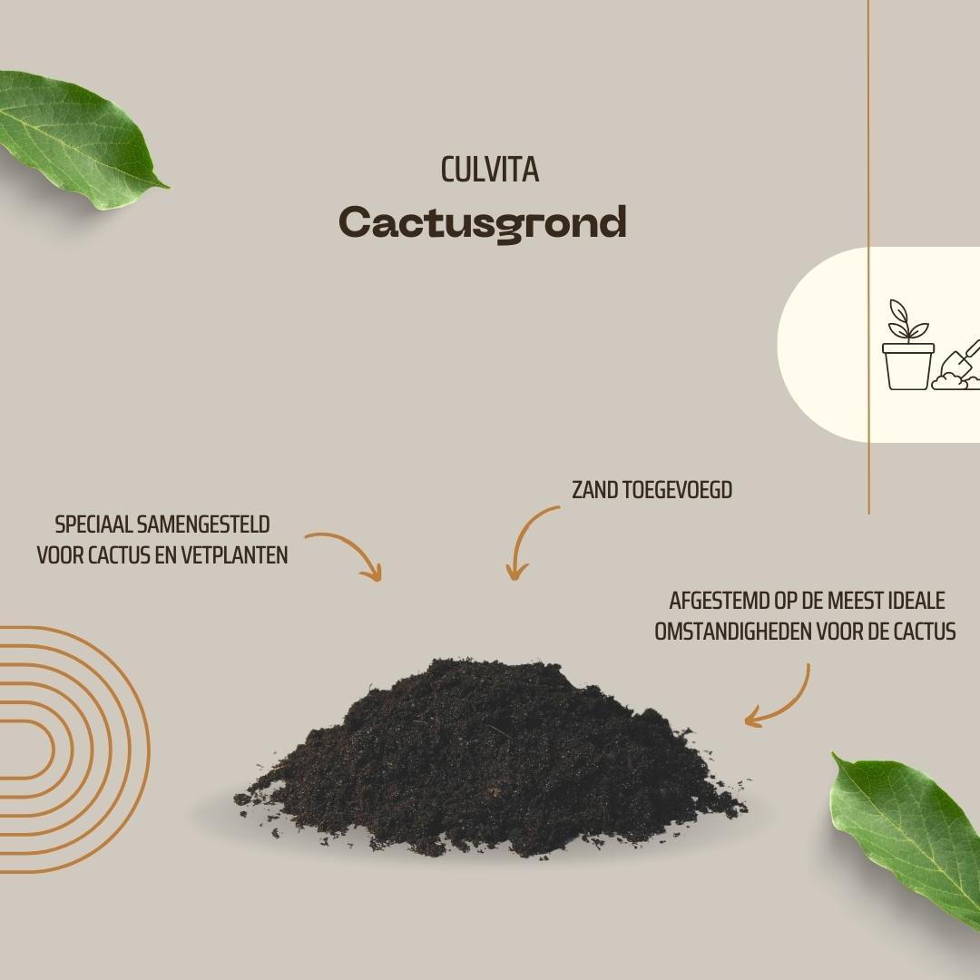 Culvita - Cactusgrond 5 liter - Blumenerde für Kakteen und Sukkelenten