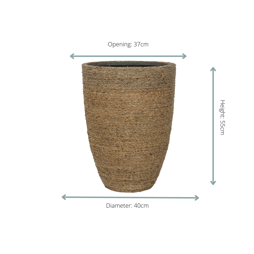 Topf "Gras" D40 x H55