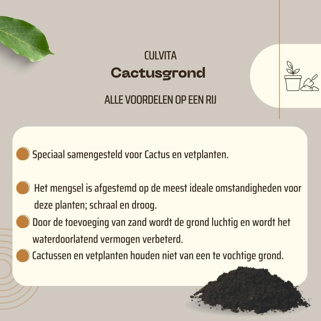Culvita - Cactusgrond 5 liter - Blumenerde für Kakteen und Sukkelenten