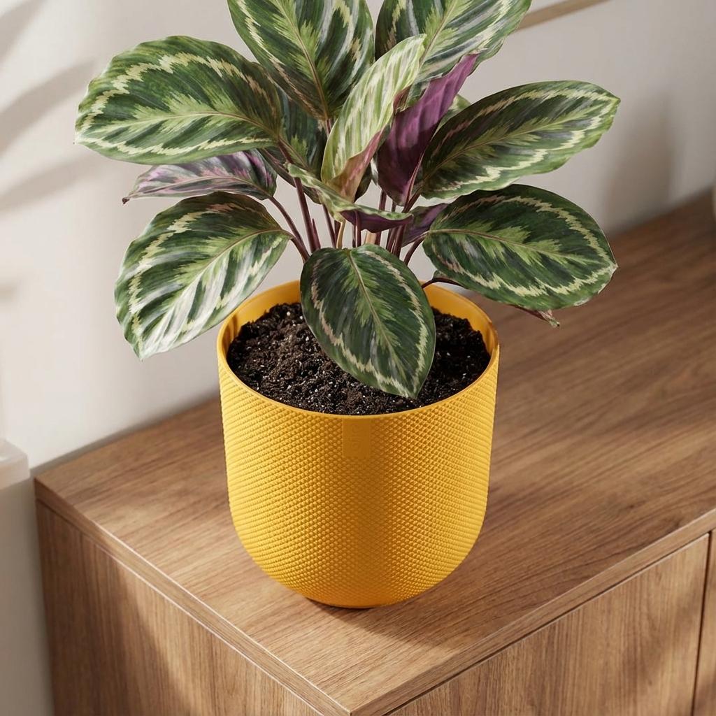 Topf "Amber" D14 x H21