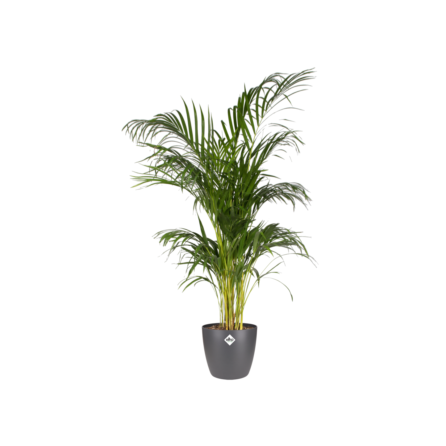 Topf "Brussels" D20 x H19