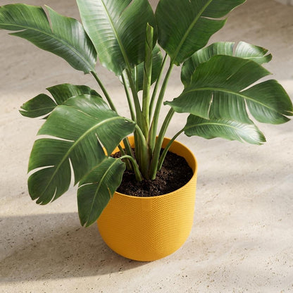 Topf "Amber" D14 x H21