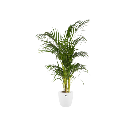 Topf "Brussels" D30 x H27