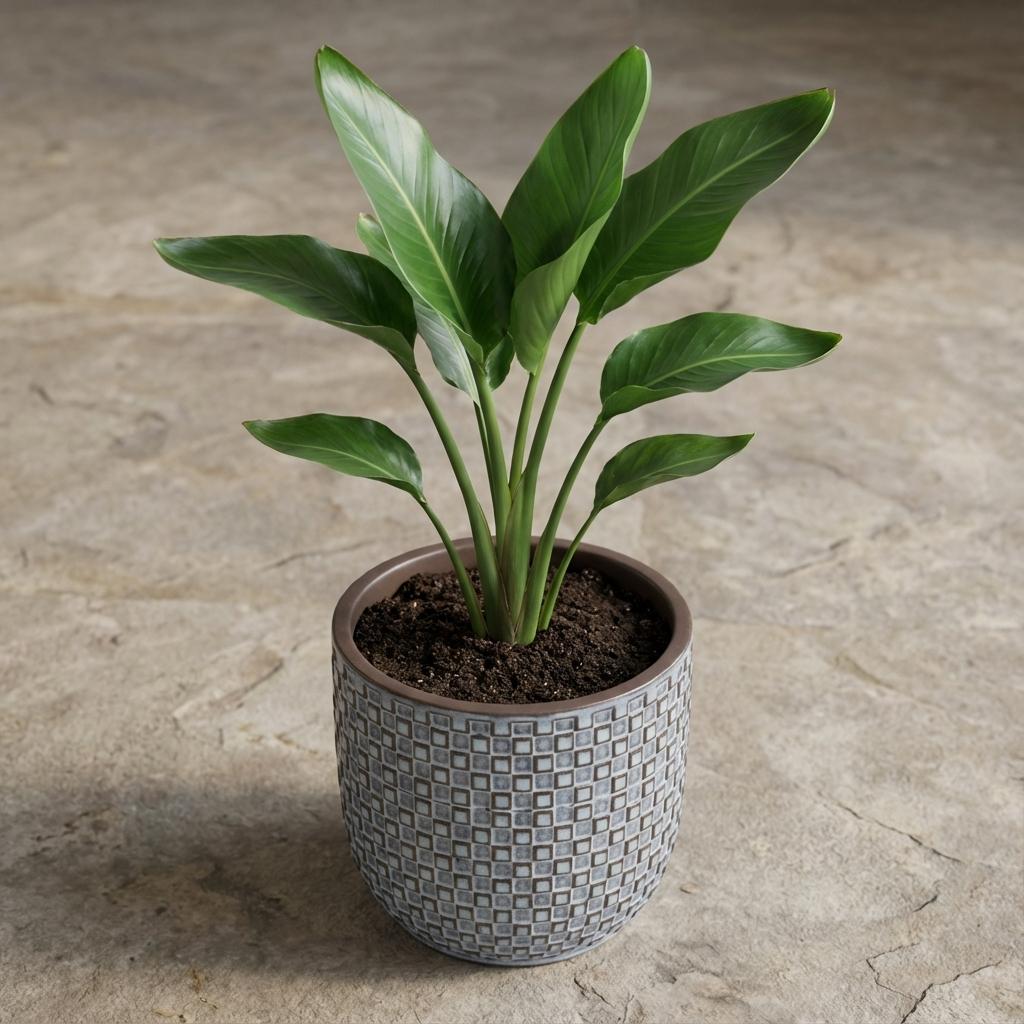 Mini-Topf "dusk" D7 x H6