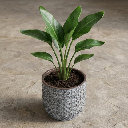 Mini-Topf "dusk" D7 x H6