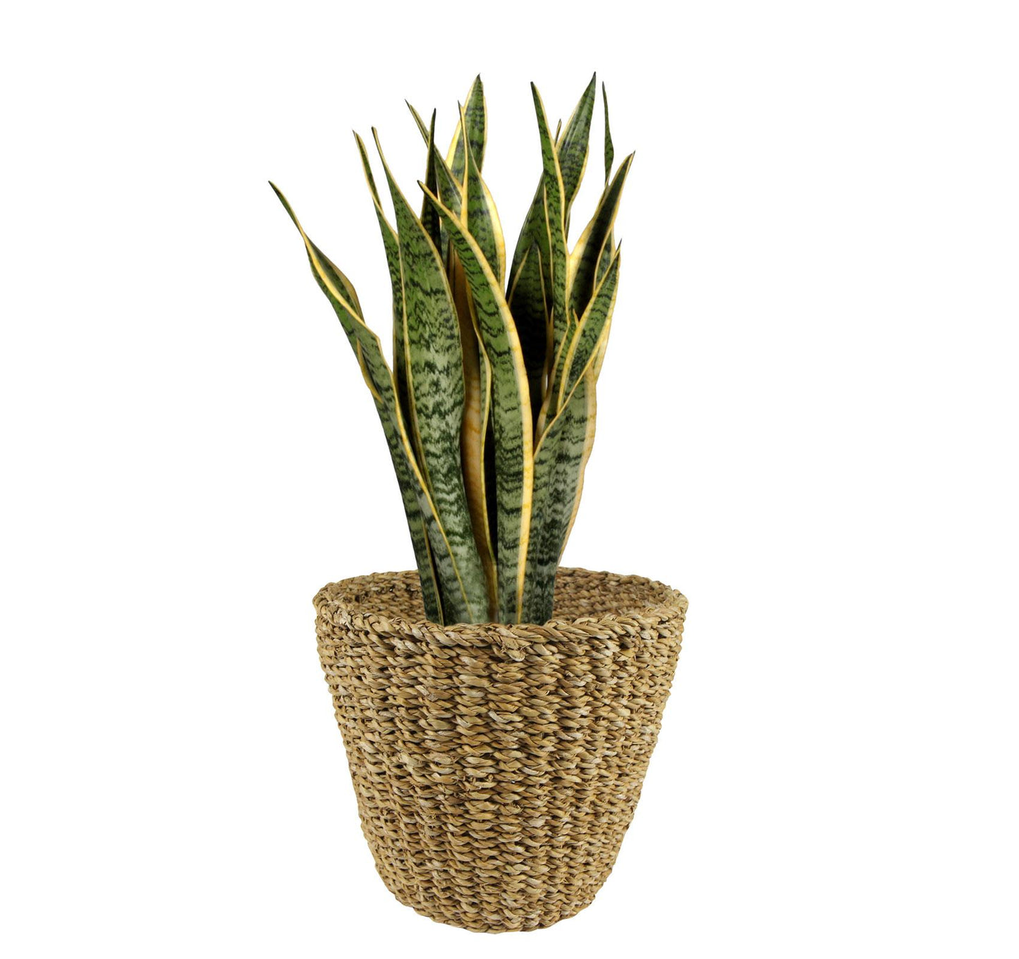 Korb "Shore" D30 x H25