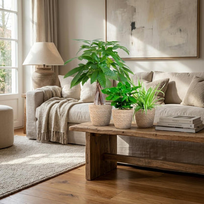 Tierfreundliches Bundle - 25 cm + Körbe