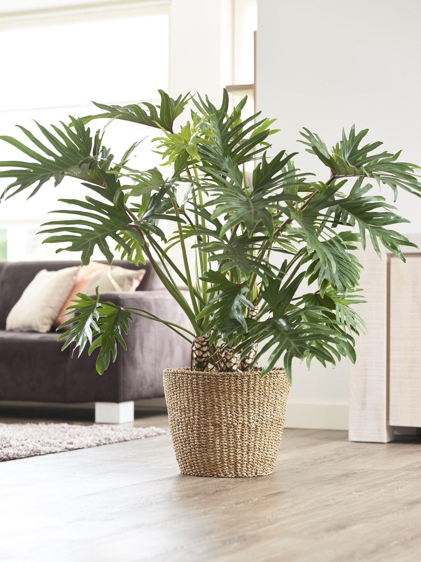 Korb "Shore" D37 x H31