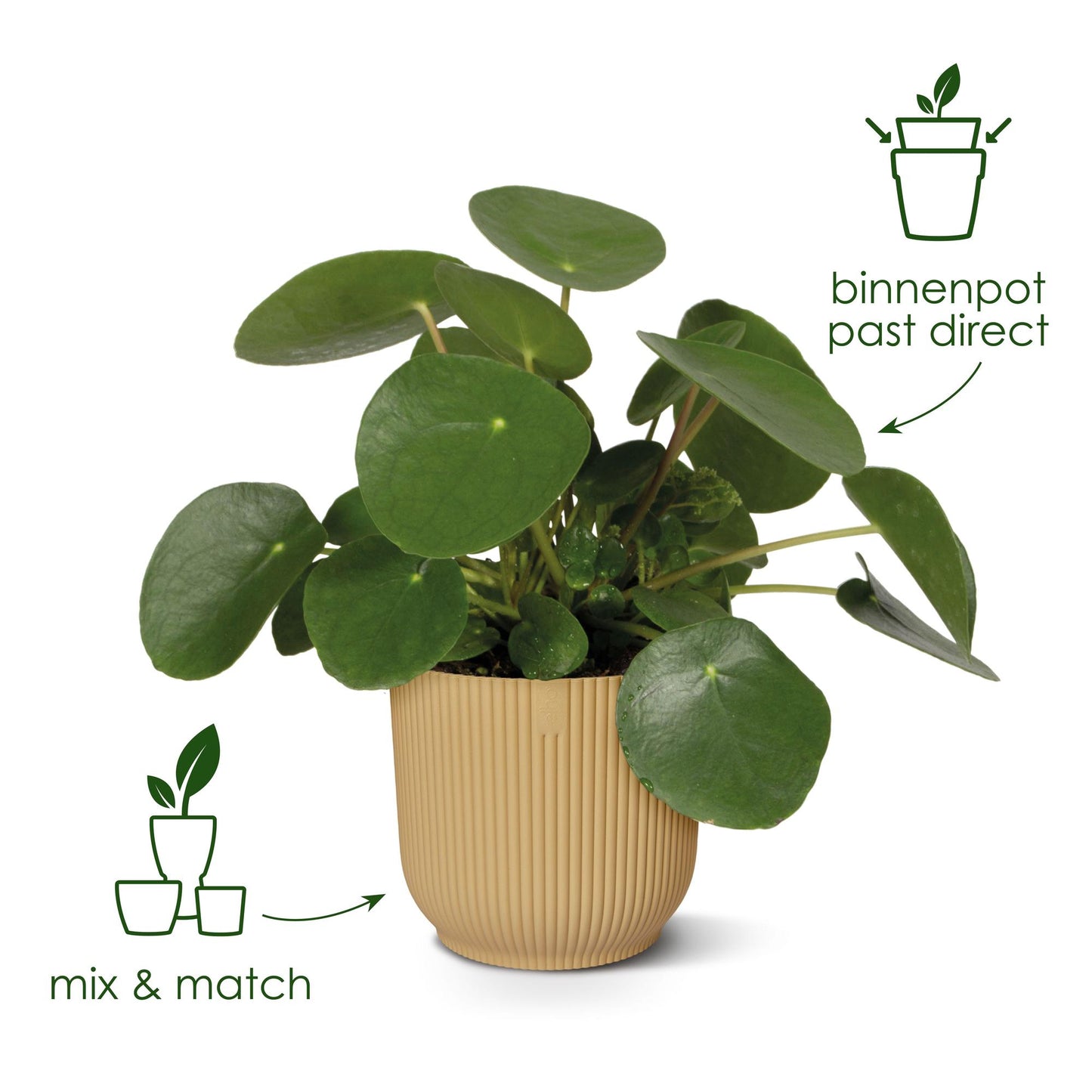 Topf "Sense" D14 x H13