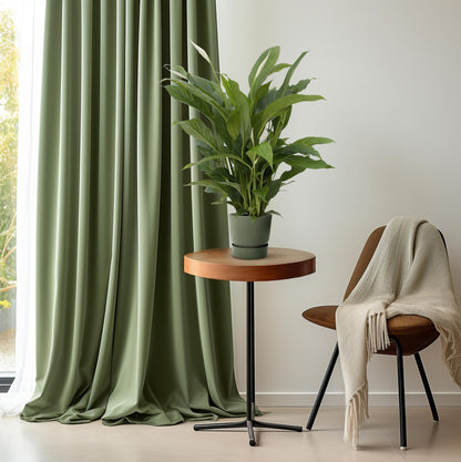 Friedenslilie "Torelli" 65 cm