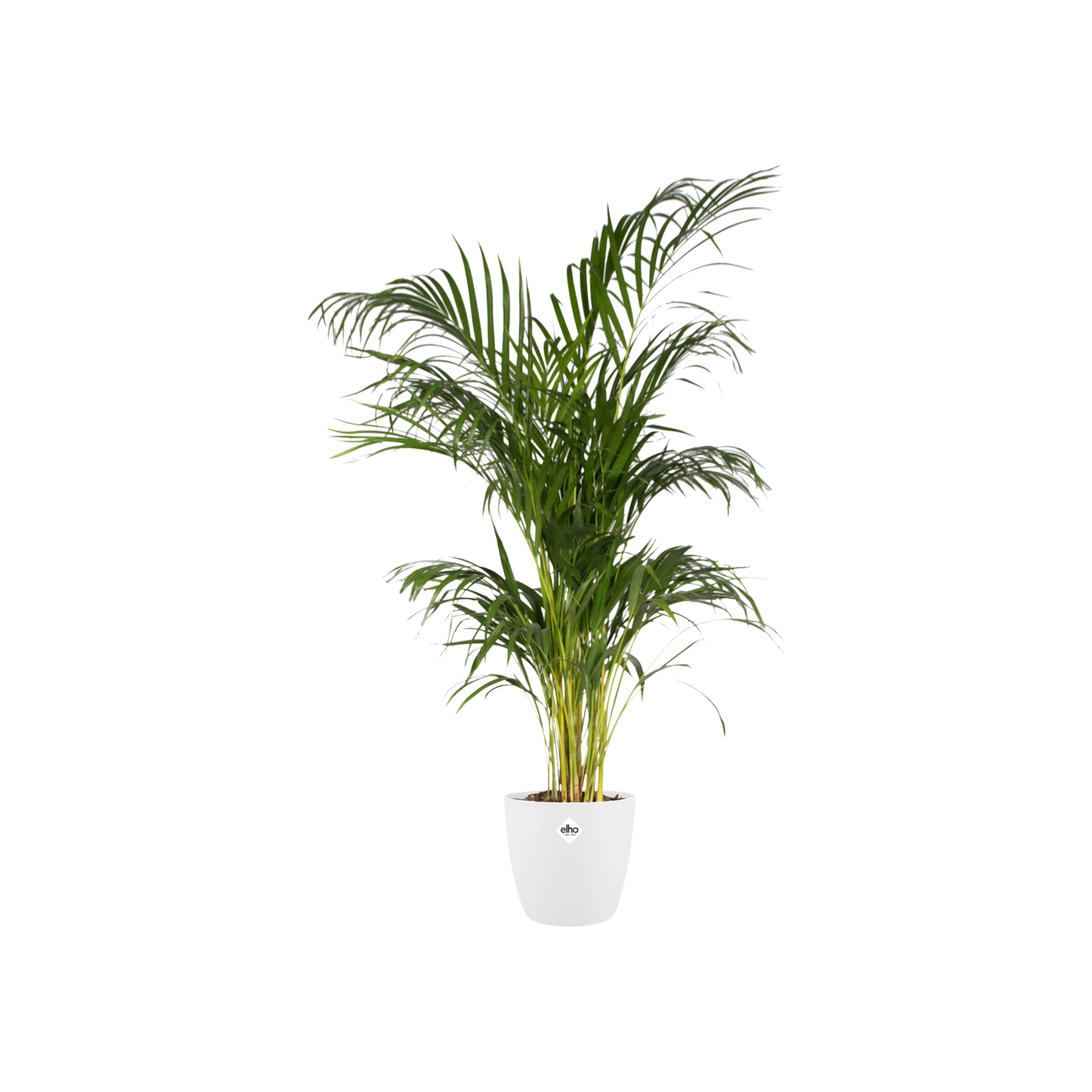 Topf "Brussels" D20 x H19