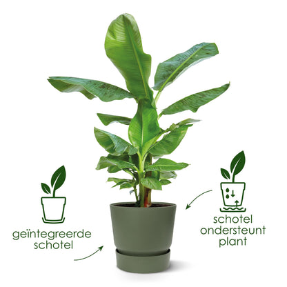 Topf "Greenville" D18 x H17