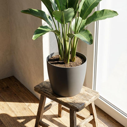 Mini-Topf "Brüssel" D7 x H6